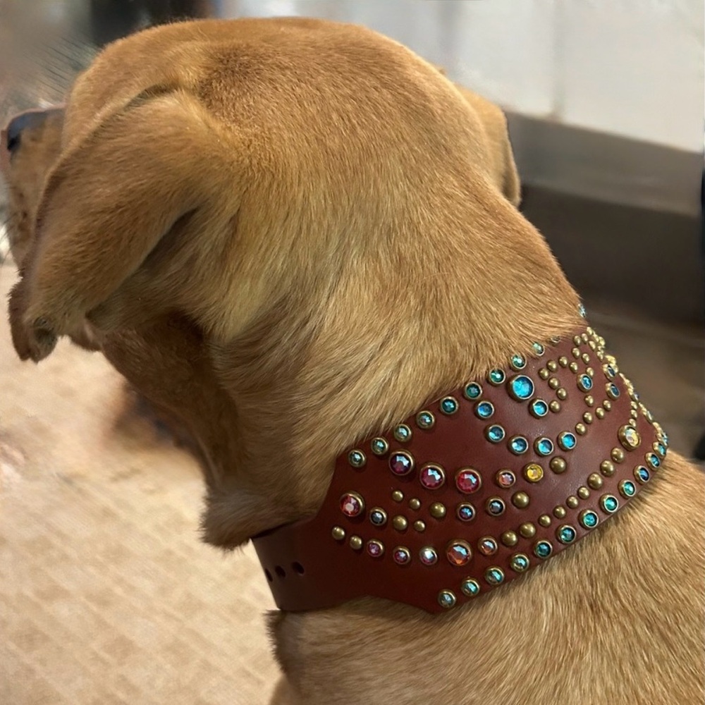 Studded & Rhinestone Brown Leather Dog Collar Colorful Glam w brass Hardware
